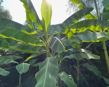 B&B Ai Giardini Di San Vitale